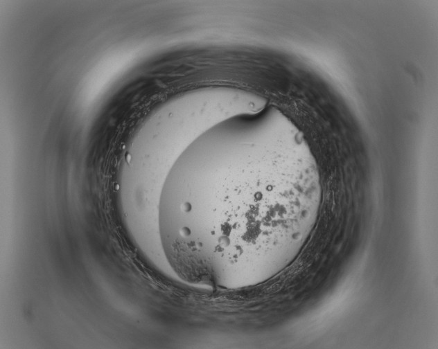 X0000111250146200907301334