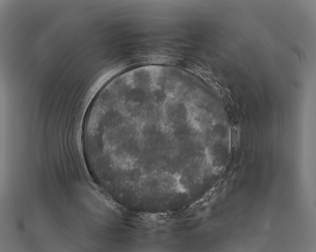 X0000111250147200907301334