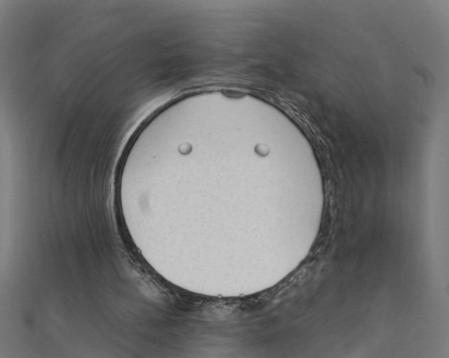 X0000111250148200907301334