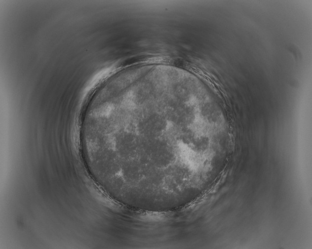 X0000111250149200907301334