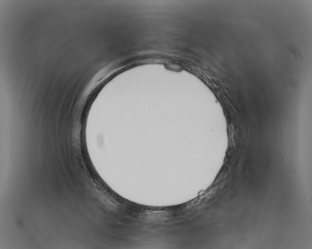 X0000111250150200907301334