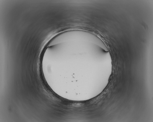 X0000111250152200907301334