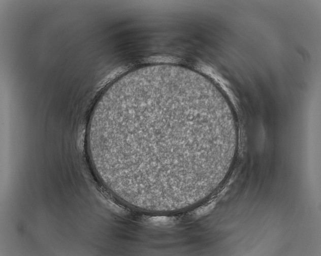 X0000111250153200907301334