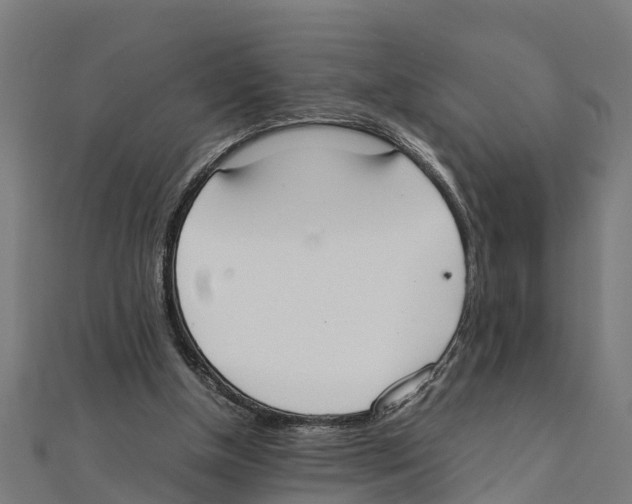 X0000111250154200907301334