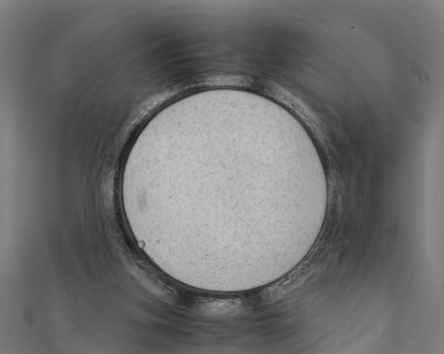 X0000111250155200907301334