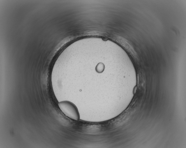 X0000111250156200907301334