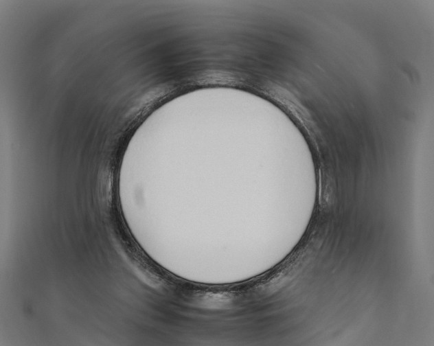 X0000111250157200907301334