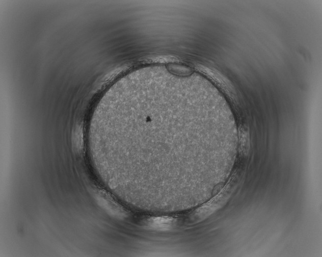 X0000111250158200907301334