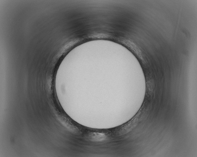 X0000111250159200907301334