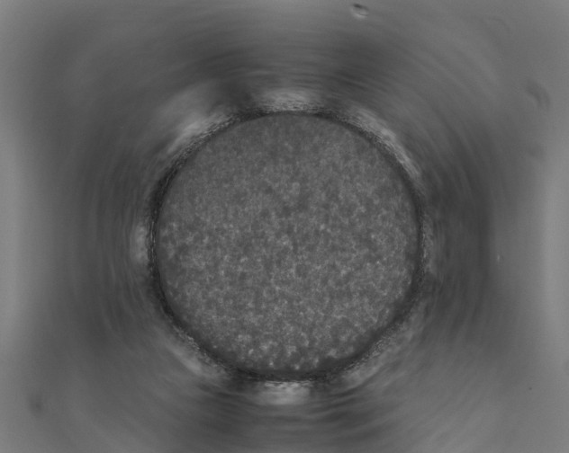 X0000111250161200907301334