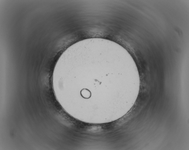 X0000111250162200907301334