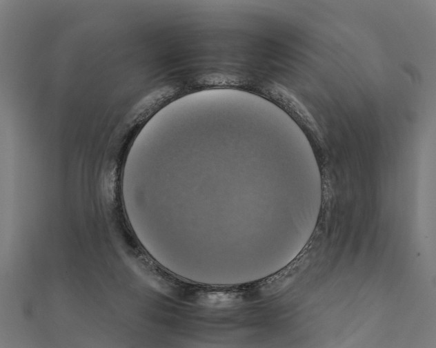 X0000111250163200907301334