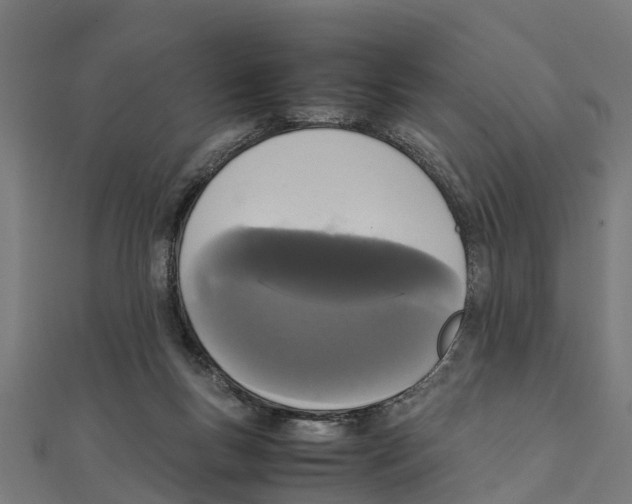 X0000111250167200907301334