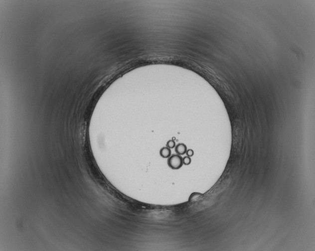 X0000111250168200907301334