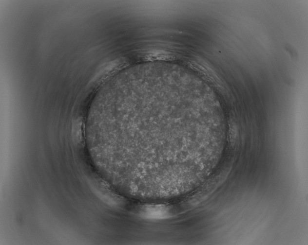 X0000111250169200907301334