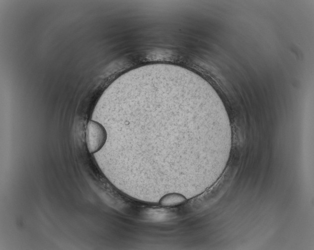 X0000111250171200907301334