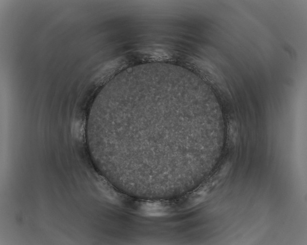 X0000111250177200907301334