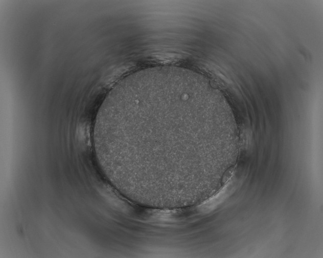 X0000111250182200907301334