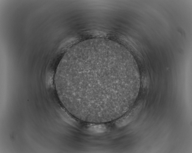 X0000111250185200907301334