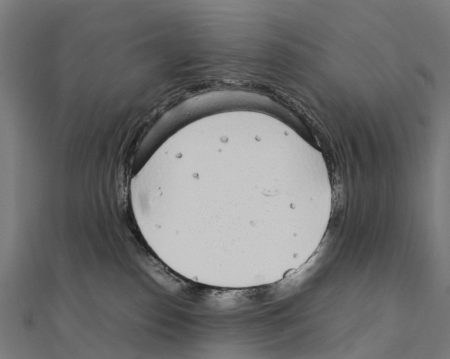 X0000111250186200907301334