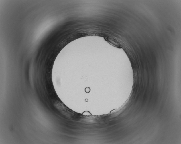 X0000111250190200907301334