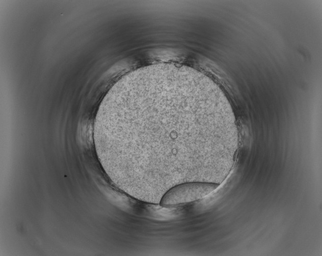 X0000111250191200907301334