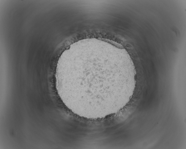 X0000111250192200907301334