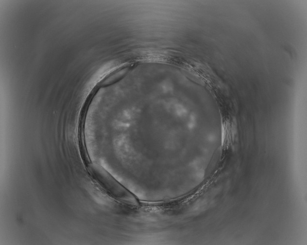 X0000111250195200907301334