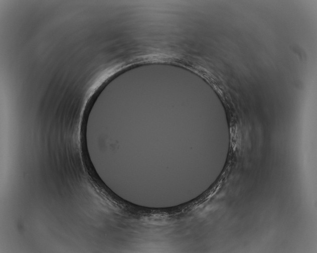 X0000111250196200907301334