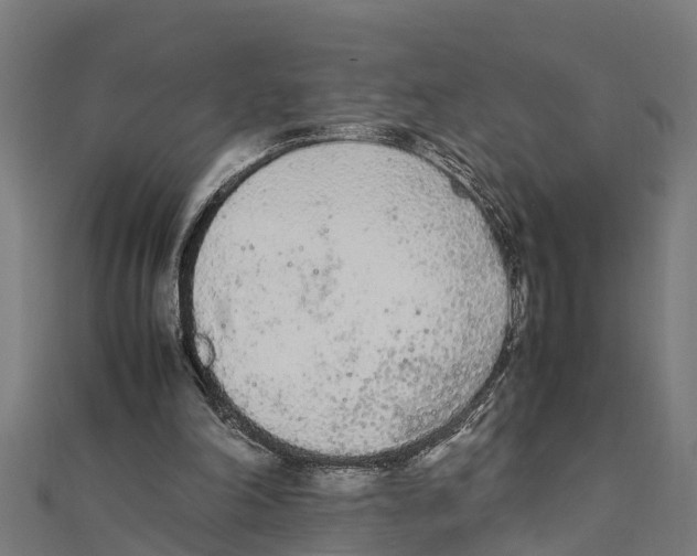 X0000111250198200907301334