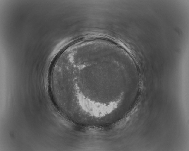 X0000111250199200907301334