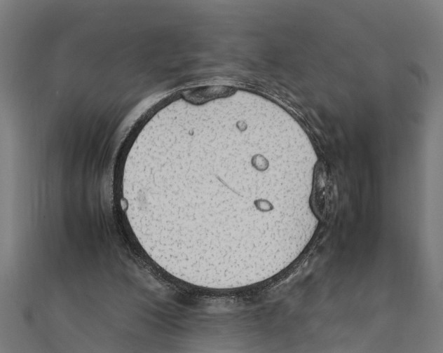 X0000111250200200907301334