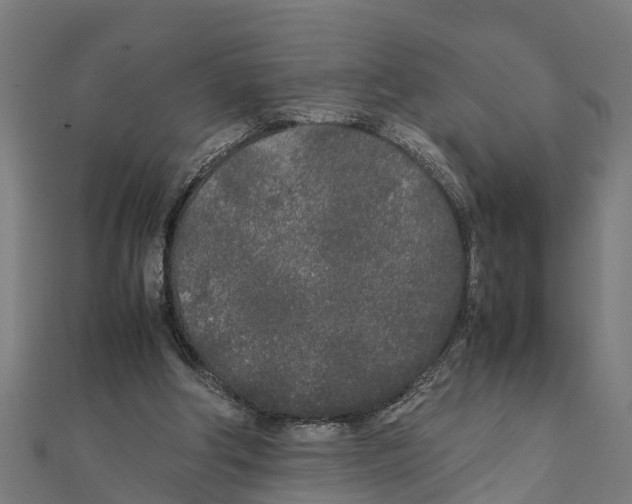 X0000111250202200907301334