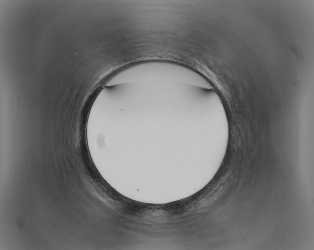 X0000111250203200907301334