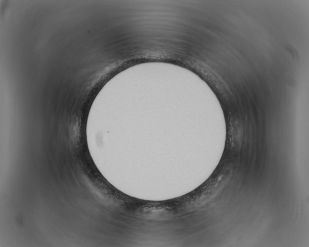 X0000111250208200907301333