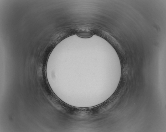 X0000111250209200907301333