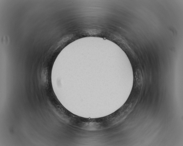 X0000111250212200907301333