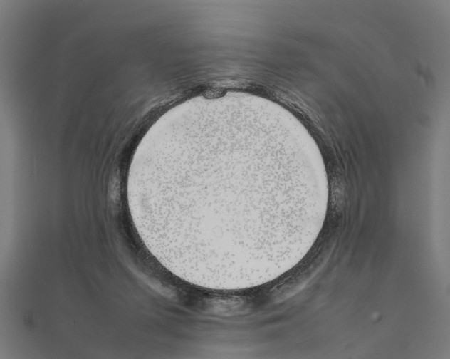 X0000111250215200907301333