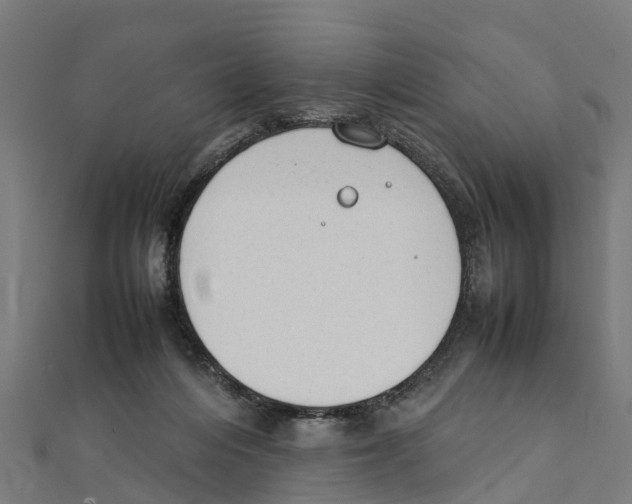 X0000111250216200907301333