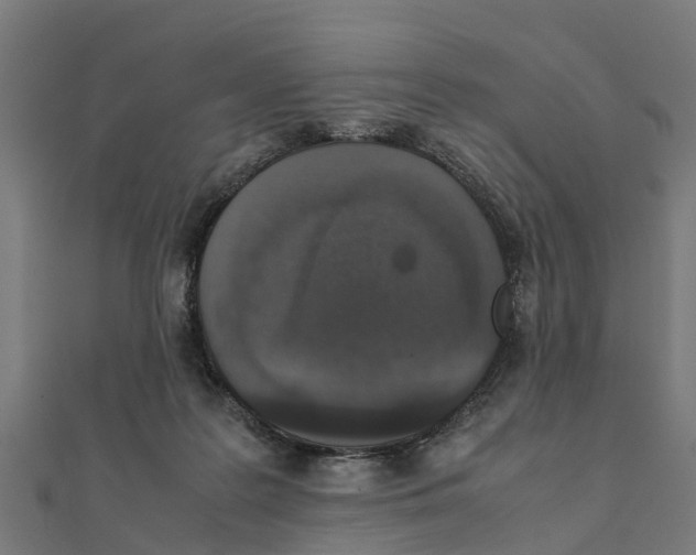 X0000111250219200907301333