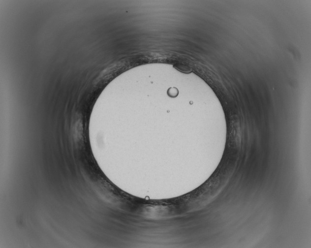 X0000111250220200907301333