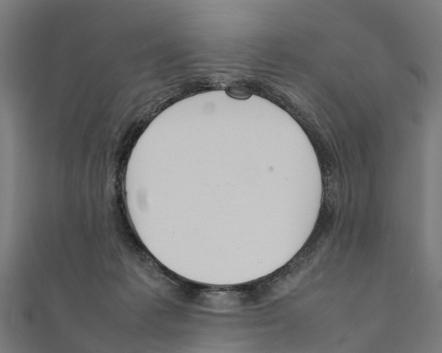 X0000111250221200907301333