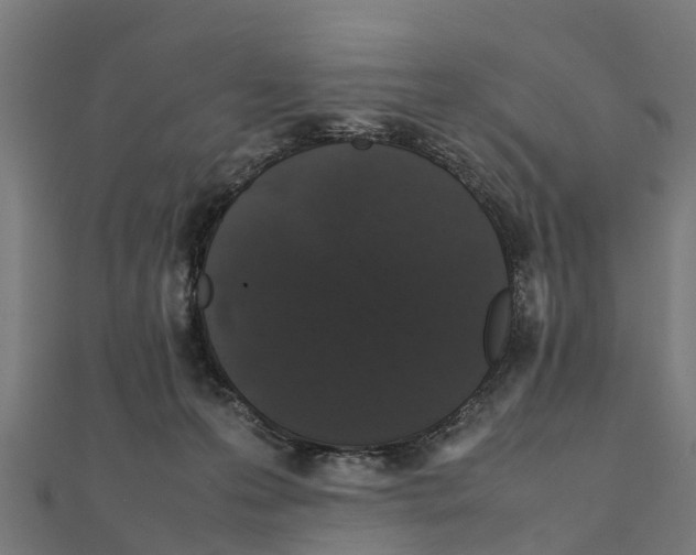 X0000111250223200907301333