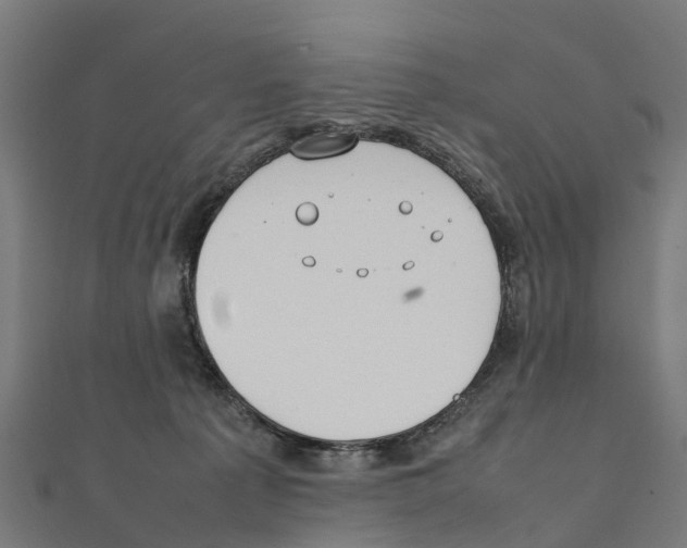 X0000111250225200907301333