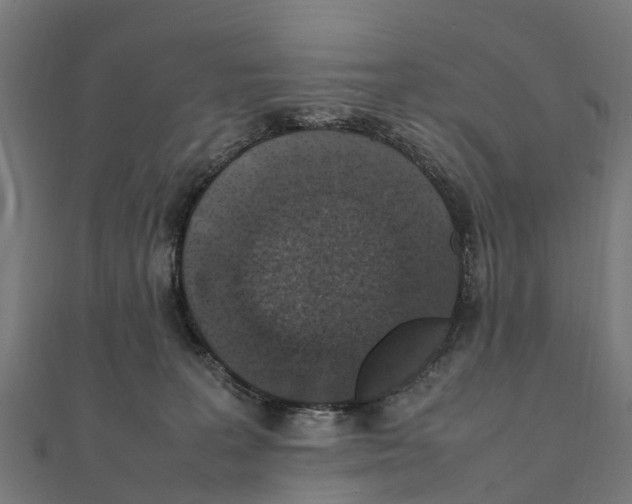 X0000111250227200907301333