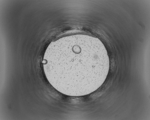 X0000111250229200907301333