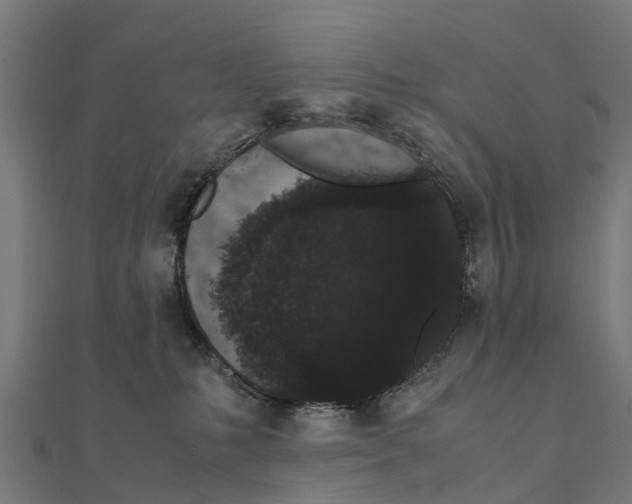 X0000111250231200907301333