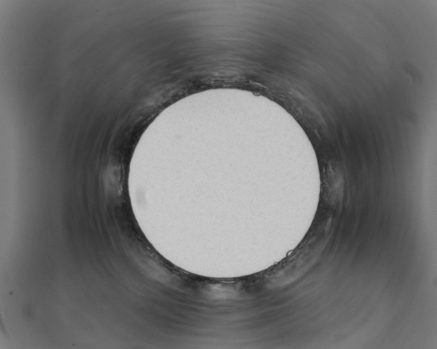 X0000111250232200907301333