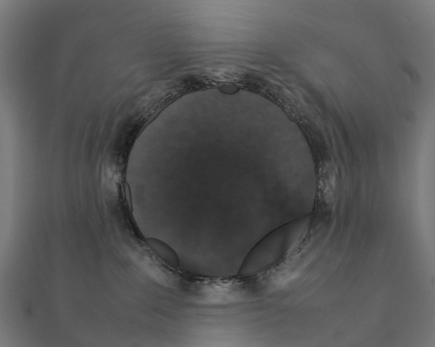 X0000111250235200907301333