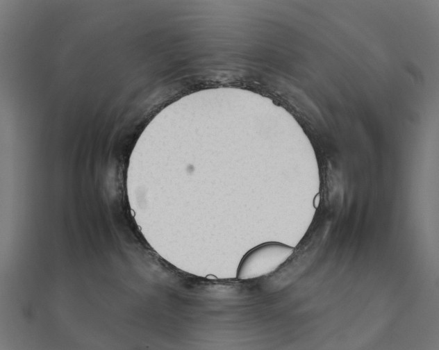 X0000111250236200907301333